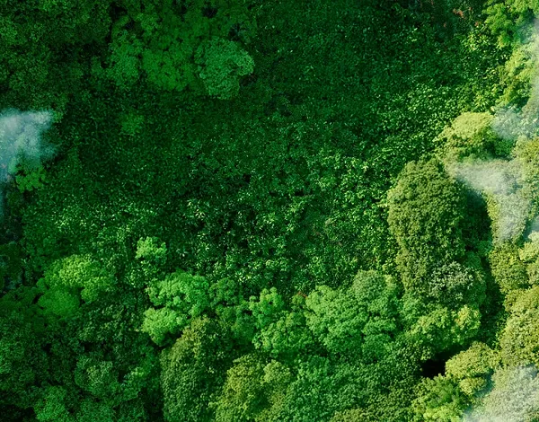 A message from our CEO